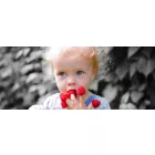 Adobe Photoshop Elements 2025 - 1 felhasználó / 3 évre (Windows/MAC)