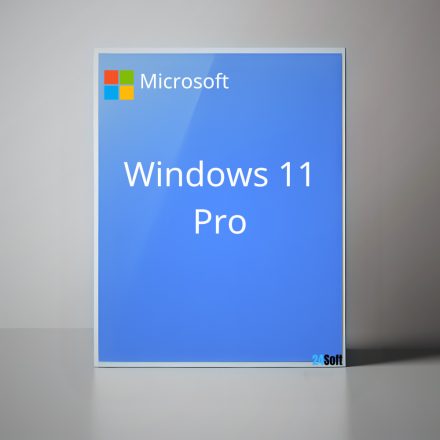 Microsoft Windows 11 Pro 