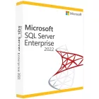 Microsoft SQL Server 2022 Enterprise Licenszkulcs