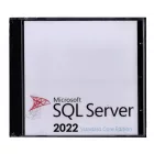 Microsoft SQL Server 2022 Standard Licenszkulcs